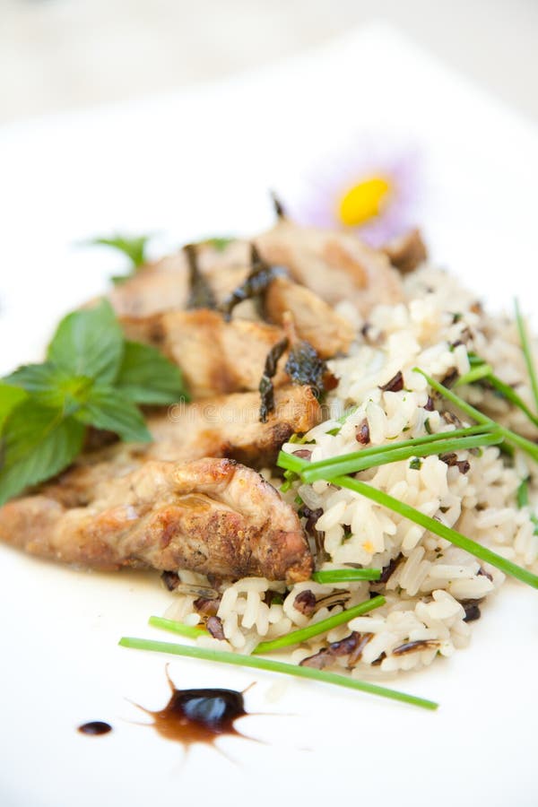 Risotto with Grilled Pork Meat Stock Image Image of rice, onion 16939189