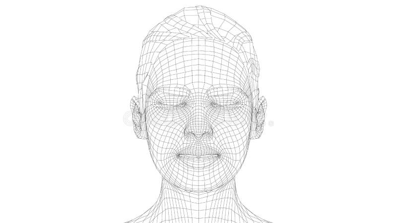 Ritratti wireframe di una giovane bellissima ragazza illustrazione di stock