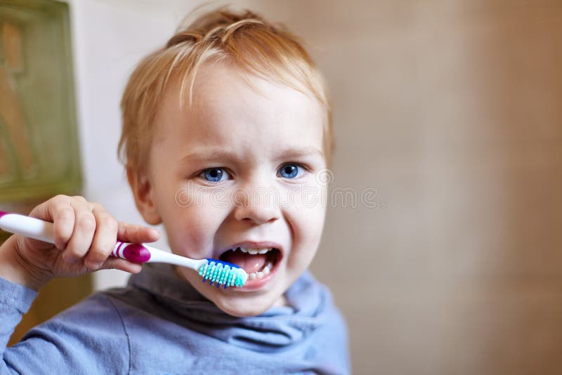 Ritratto alto vicino del neonato caucasico sveglio con l'espressione molto seria del fronte che prova a pulire i denti con la spa fotografie stock libere da diritti Ritratto alto vicino del neonato caucasico sveglio con l'espressione molto seria del fronte che prova a pulire i denti con la spa fotografie stock libere da diritti
