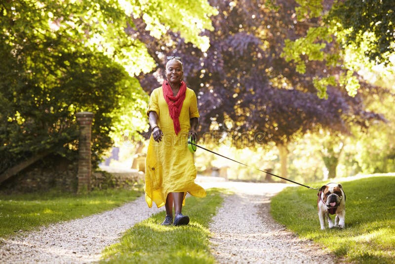 Ritratto del bulldog di camminata dell'animale domestico della donna senior in campagna fotografia stock Ritratto del bulldog di camminata dell'animale domestico della donna senior in campagna fotografia stock