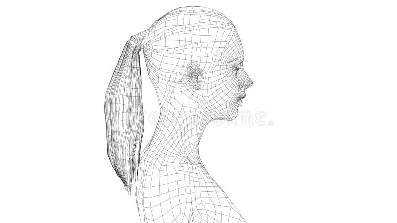 Ritratto del wireframe del giovane bella ragazza illustrazione di stock