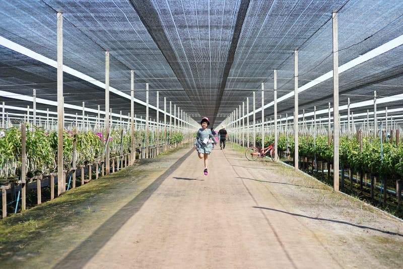 Ritratto della bambina asiatica che cammina intorno all'orchidea all'aperto immagine stock Ritratto della bambina asiatica che cammina intorno all'orchidea all'aperto immagine stock