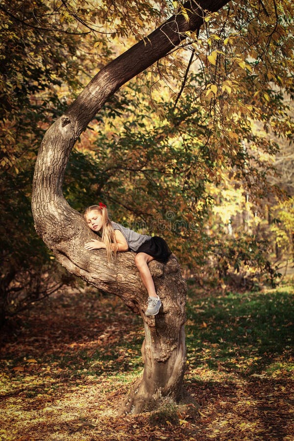 Ritratto della ragazza allegra bella nel parco di autunno, fotografia stock Ritratto della ragazza allegra bella nel parco di autunno, fotografia stock