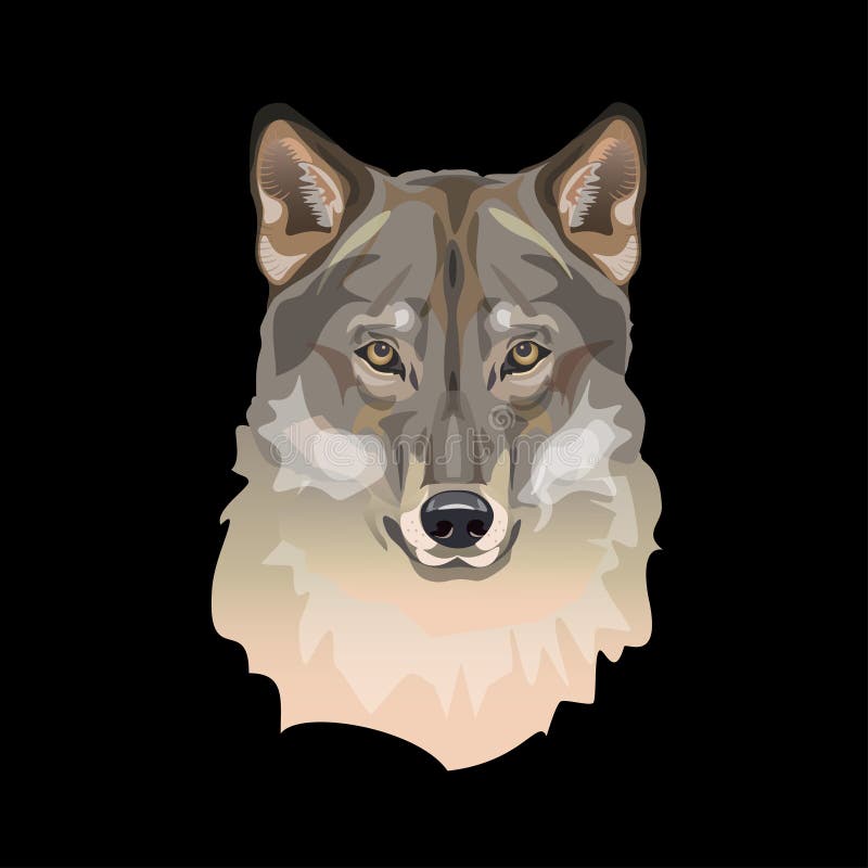 Ritratto della testa del lupo royalty illustrazione gratis