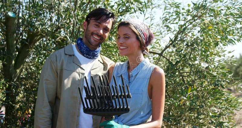 Ritratto delle coppie sorridenti in azienda agricola verde oliva 4k