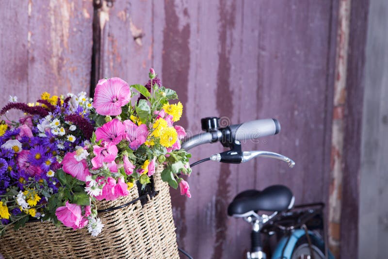 Ritratto di bella ragazza felice con la bicicletta d'annata ed i fiori sul fondo della città alla luce solare all'aperto fotografia stock libera da diritti Ritratto di bella ragazza felice con la bicicletta d'annata ed i fiori sul fondo della città alla luce solare all'aperto fotografia stock libera da diritti