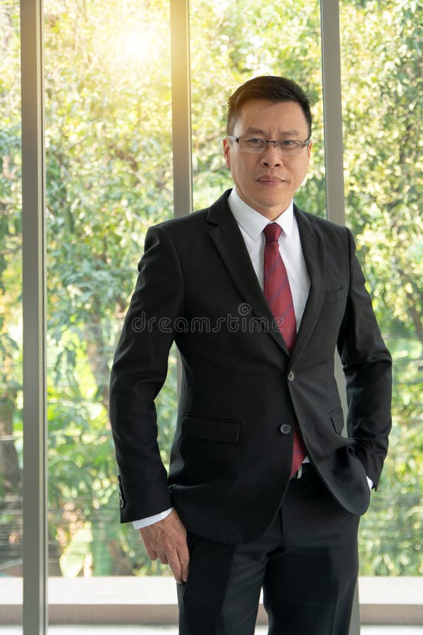 Ritratto di sicuro nella condizione matura formalmente vestita dell'uomo d'affari davanti ad una grande finestra moderna dell'uff fotografia stock Ritratto di sicuro nella condizione matura formalmente vestita dell'uomo d'affari davanti ad una grande finestra moderna dell'uff fotografia stock