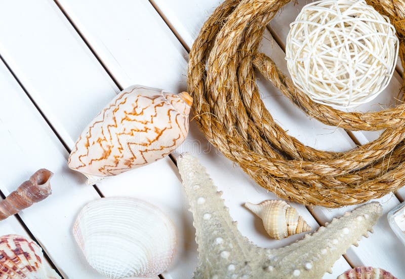 Ritrovamenti della spiaggia sui precedenti di legno bianchi fotografia stock Ritrovamenti della spiaggia sui precedenti di legno bianchi fotografia stock