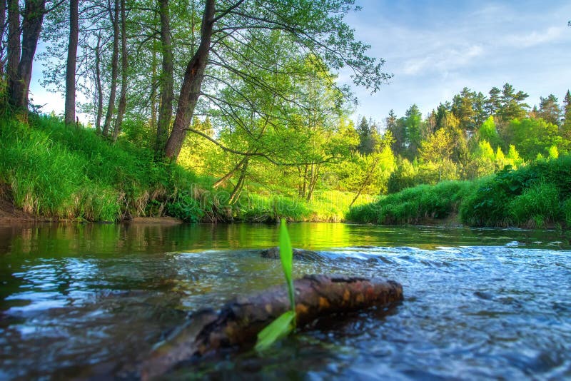 Riva del fiume di paesaggio Fiume di estate Paesaggio verde della natura Bella vista sulla sponda del fiume fotografia stock Riva del fiume di paesaggio Fiume di estate Paesaggio verde della natura Bella vista sulla sponda del fiume fotografia stock