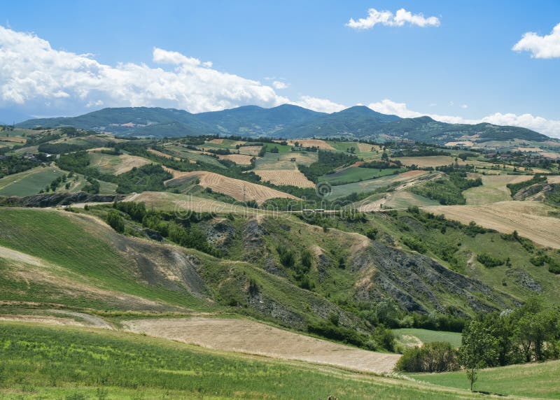 Rivalta di Lesignano Parma, Italien: sommarlandskap fotografering för bildbyråer Rivalta di Lesignano Parma, Italien: sommarlandskap fotografering för bildbyråer