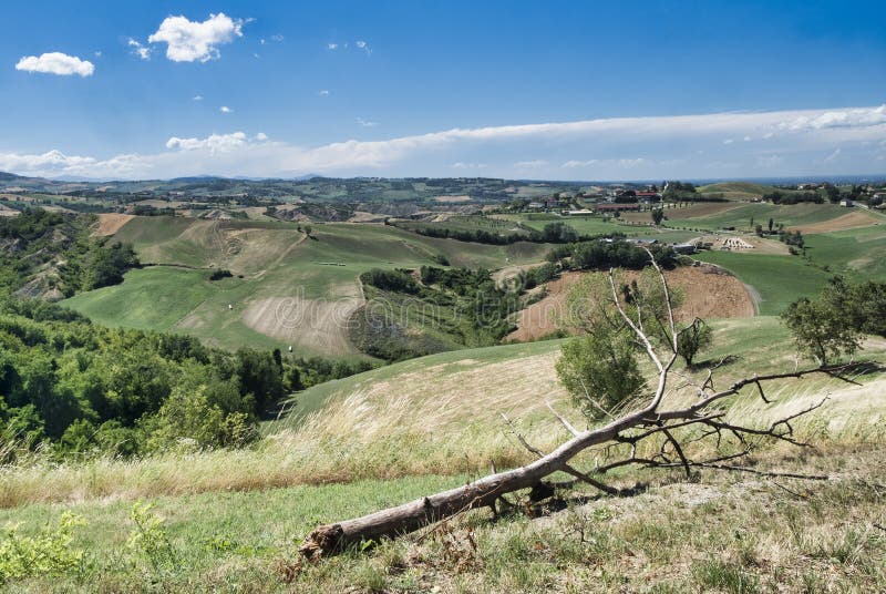 Rivalta di Lesignano Parma, Italien: sommarlandskap royaltyfri fotografi Rivalta di Lesignano Parma, Italien: sommarlandskap royaltyfri fotografi