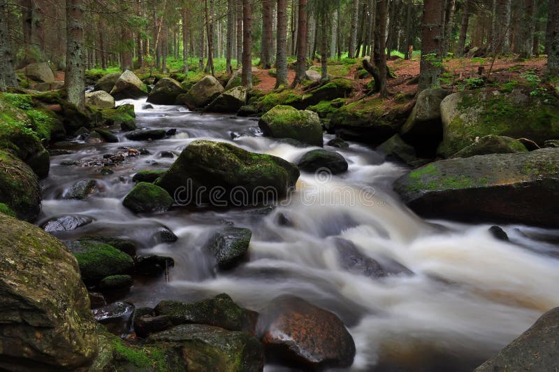 River royalty free stock photography