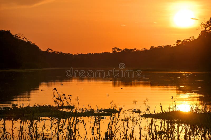 River in the Amazon Rainforest at dusk, Peru, South America