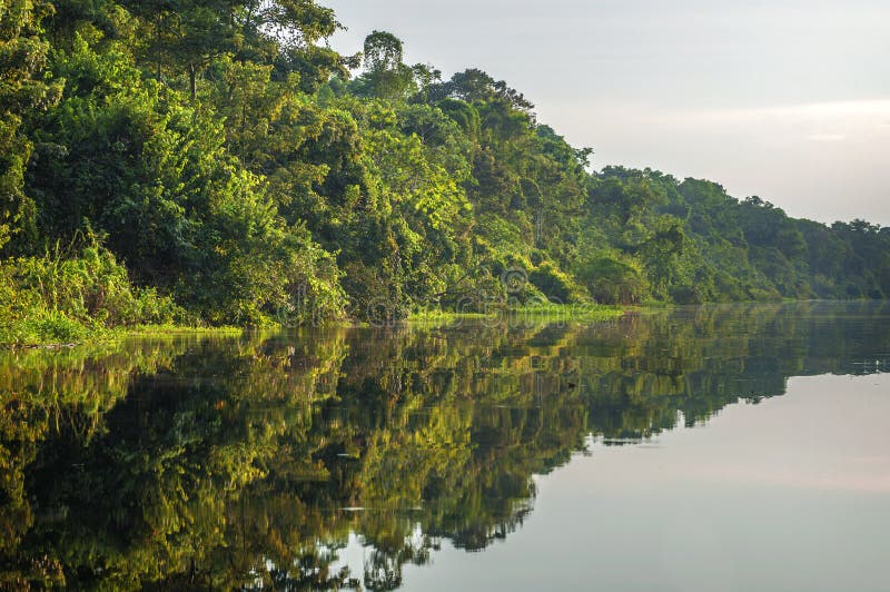 River in the Amazon Rainforest, Peru, South America