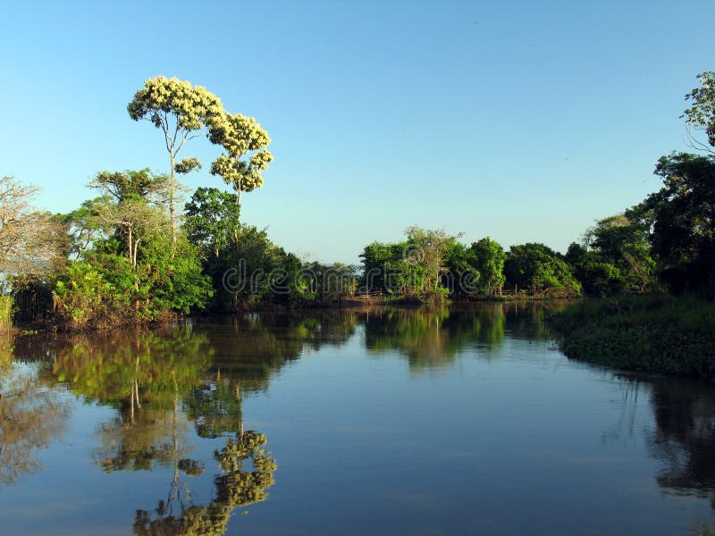 River in Amazonia