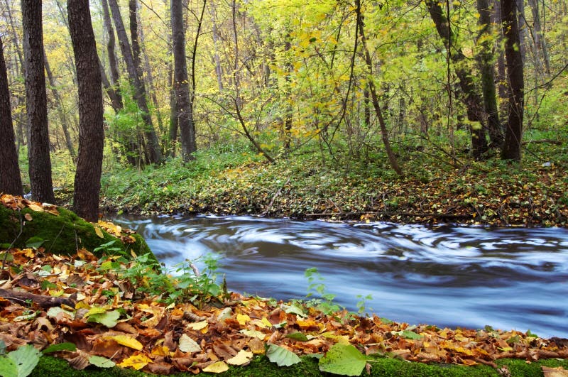 River amongst autumn trees