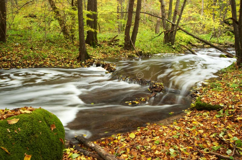 River amongst autumn trees