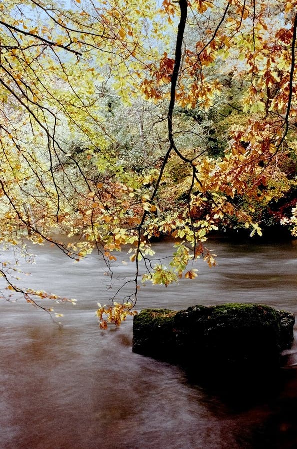 Rieka jesenné stromy anglický lake district, cumbria, veľká británia.