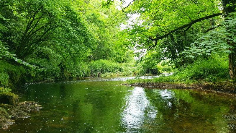 River Avon . Running of dartmoor devon.uk stock photography River Avon . Running of dartmoor devon.uk stock photography