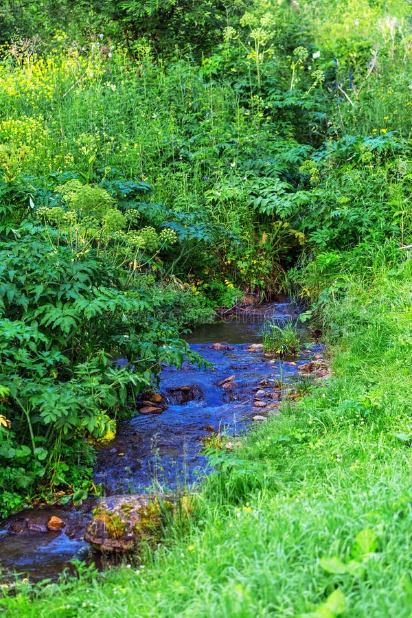 River Baragan Shebalinsky District Gorny Altai Russia Stock Image