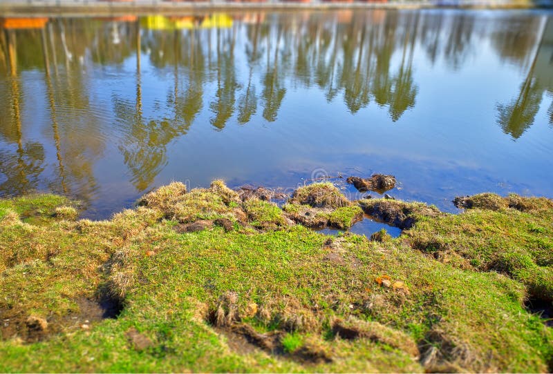 River beach: green moss landscape background hd stock photo