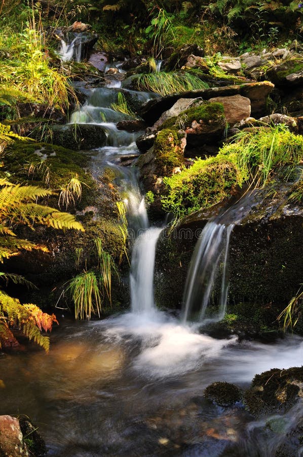 The river Bear Creek