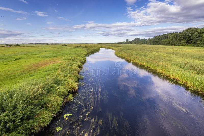 River Biebrza in Poland