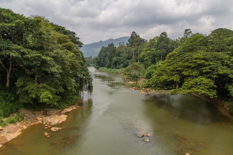 River in the botanical Garden of Peradeniya