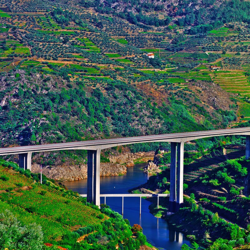 River Douro stock photo. Image of green, grape, field 60319168