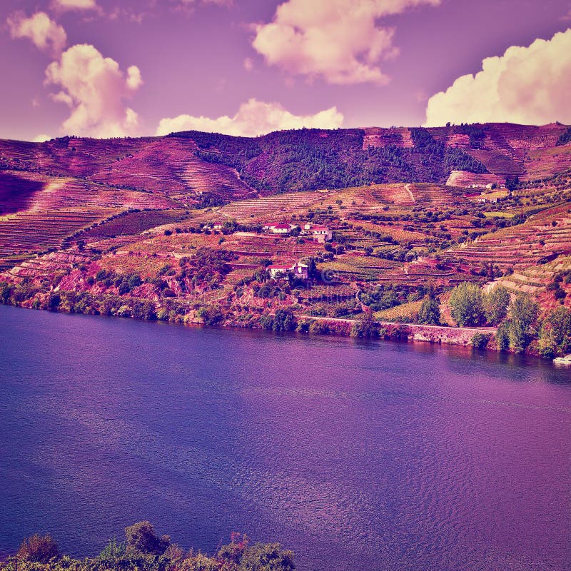 River Douro Region In Portugal Stock Photo Image of vineyard, winery