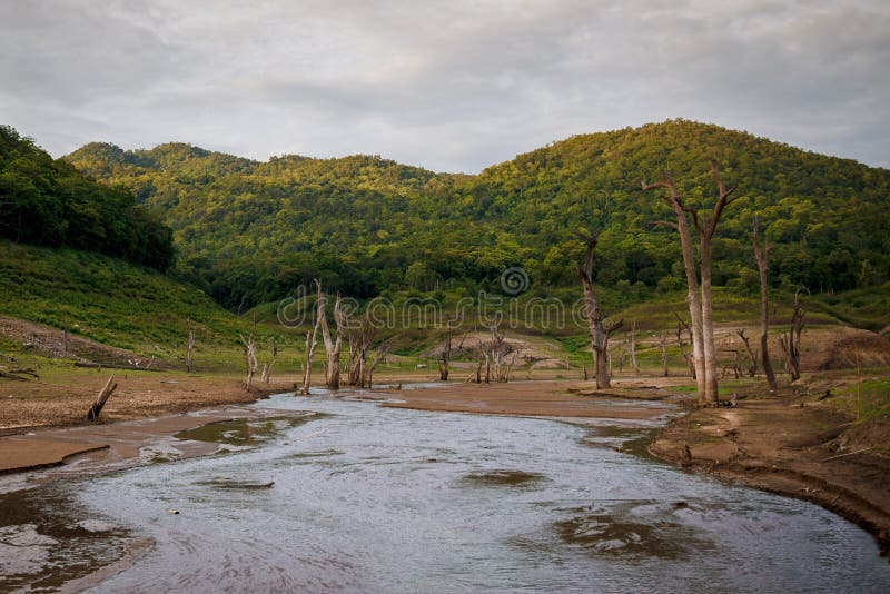 River,drought Land so Long Waterless Stock Image Image of earth