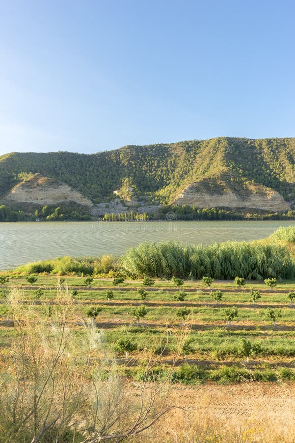 The river Ebro stock photo. Image of blue, ebro, environment 100354142