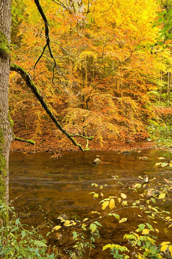 River In Autumn Stock Image Image Of Colour Landscape 80735601