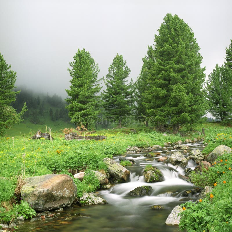 River flow in high mountains