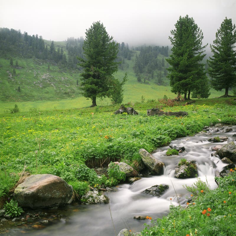 River flow in high mountains