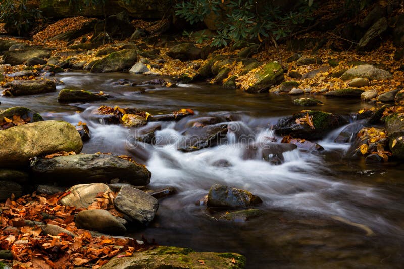 River Flowing With Autumn Leaves and Rocks Smoky Mountains National Park