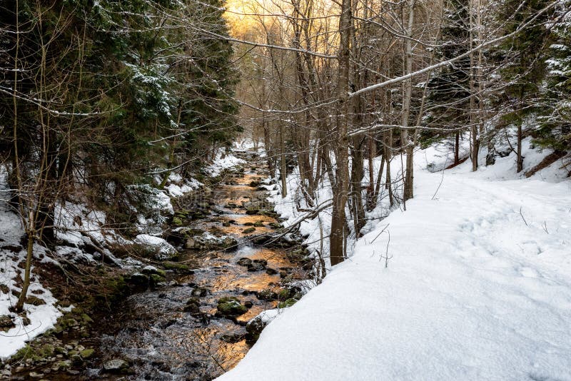 River flowing through valley called Kvacianska dolina in winter season