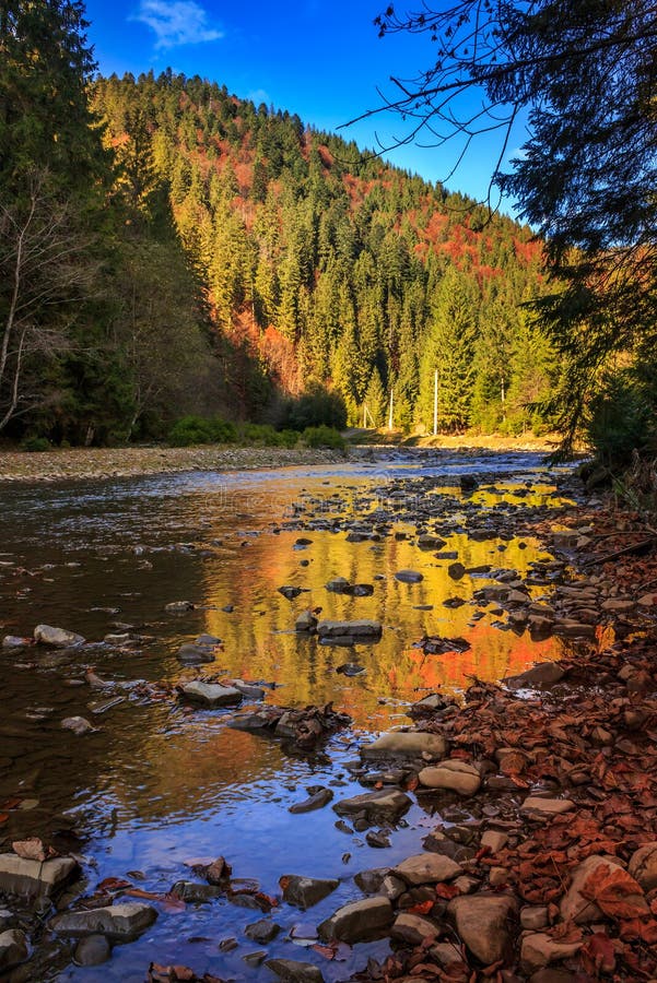 River flows by rocky shore near the autumn mountain forest