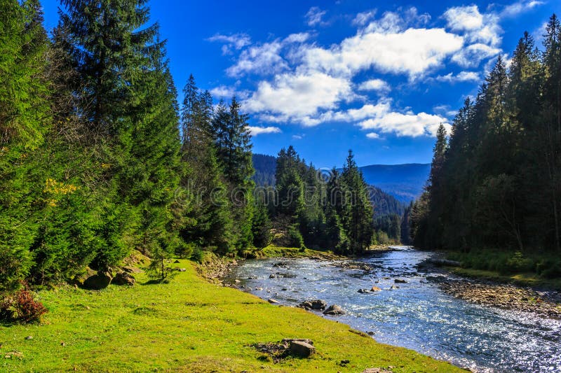 River flows by rocky shore near the autumn mountain forest