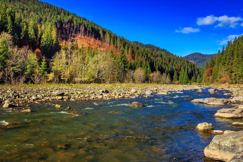 River flows by rocky shore near the autumn mountain forest