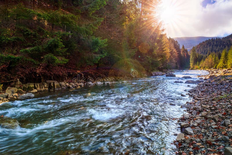 River flows by rocky shore near the autumn mountain forest