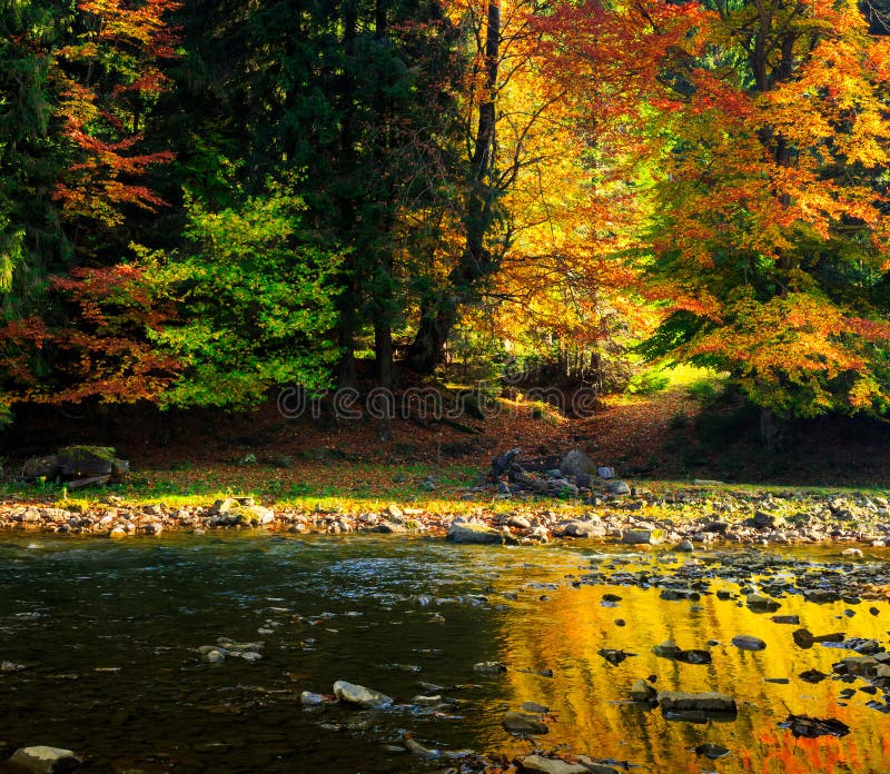 River flows by rocky shore near the autumn mountain forest