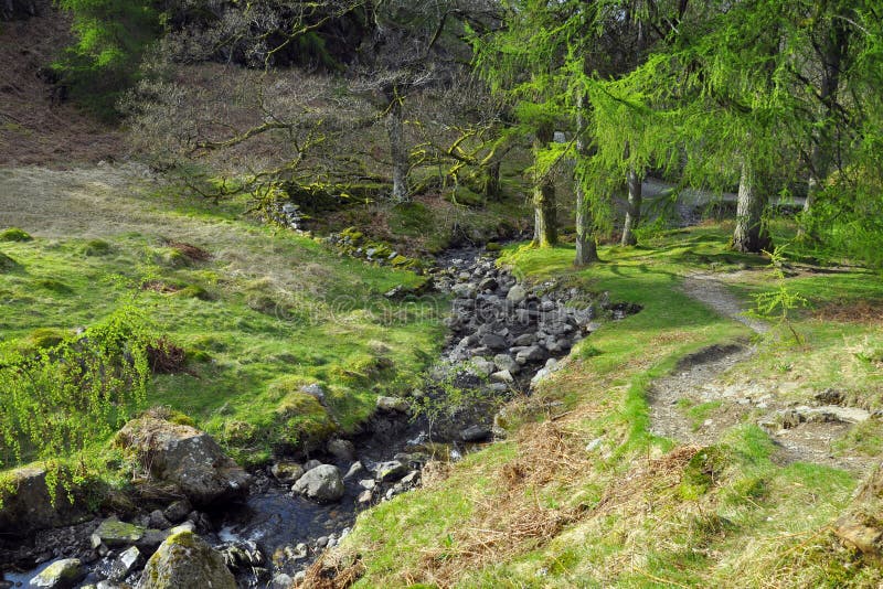 River on forest glade in English countryside