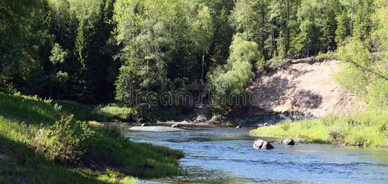 River in forest. Panorama