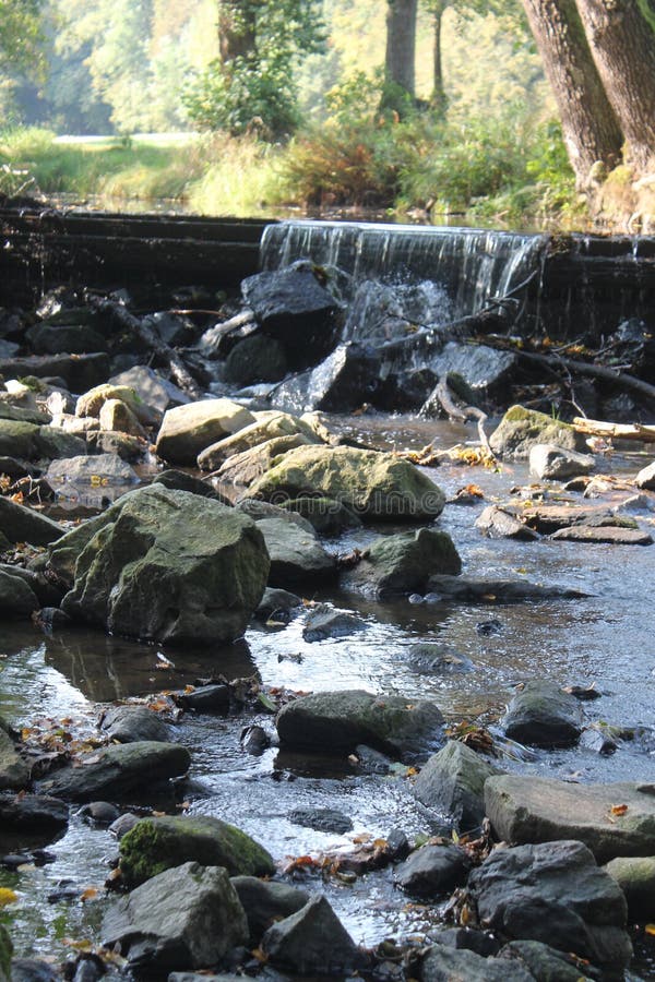 River in the forest with stones. royalty free stock image River in the forest with stones. royalty free stock image