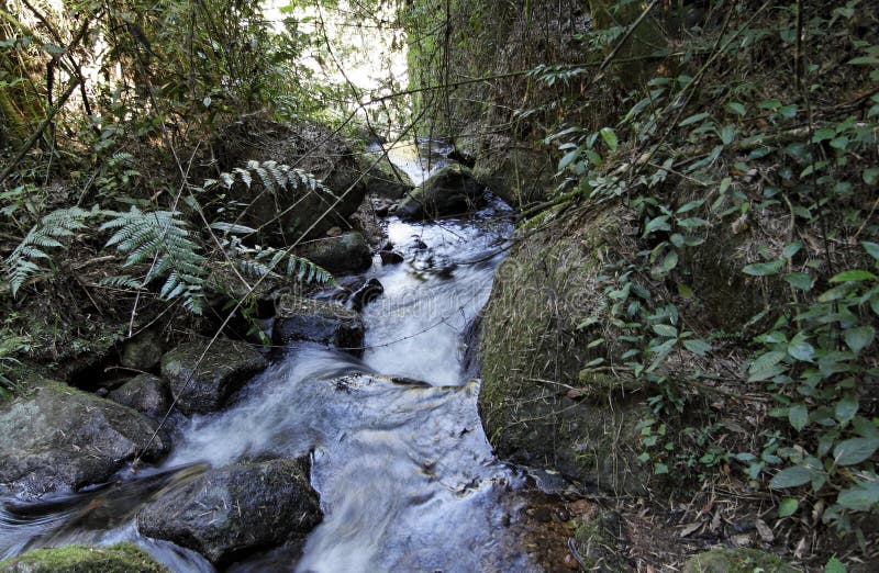 River in Itatiaia National Park royalty free stock photos