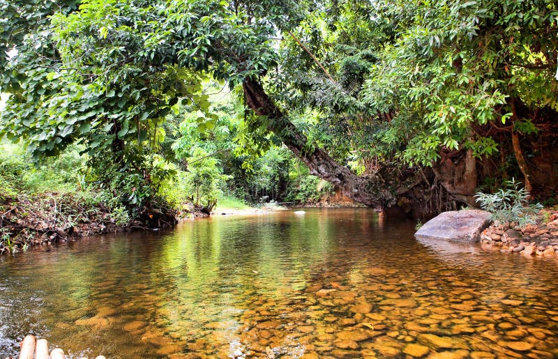 River in jungle, Thailand royalty free stock photos