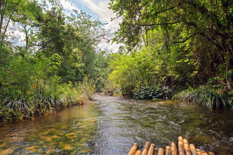 River in jungle, Thailand stock image. Image of living - 68169527