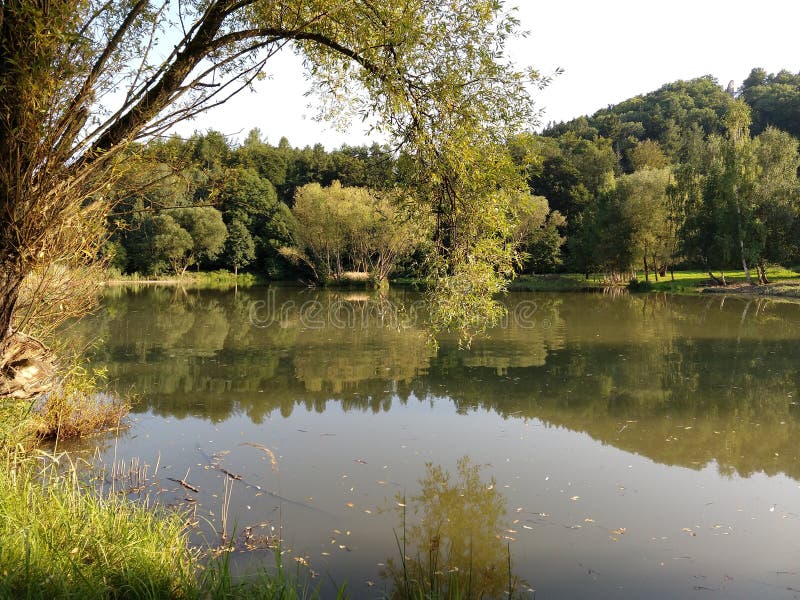 Řeka, jezero nebo potok tekoucí v divoké přírodě.