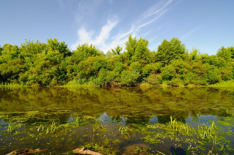 River landscape